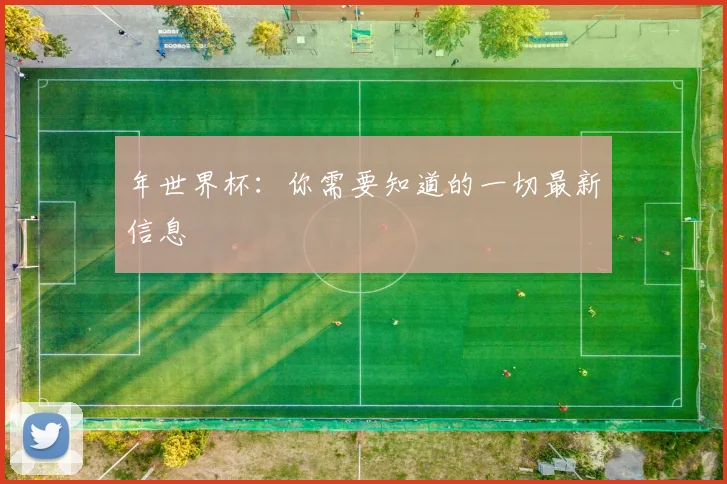 年世界杯：你需要知道的一切最新信息