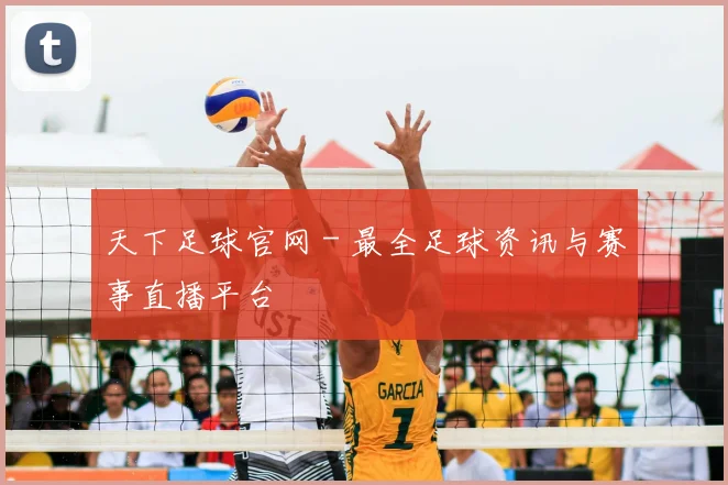 天下足球官网 - 最全足球资讯与赛事直播平台